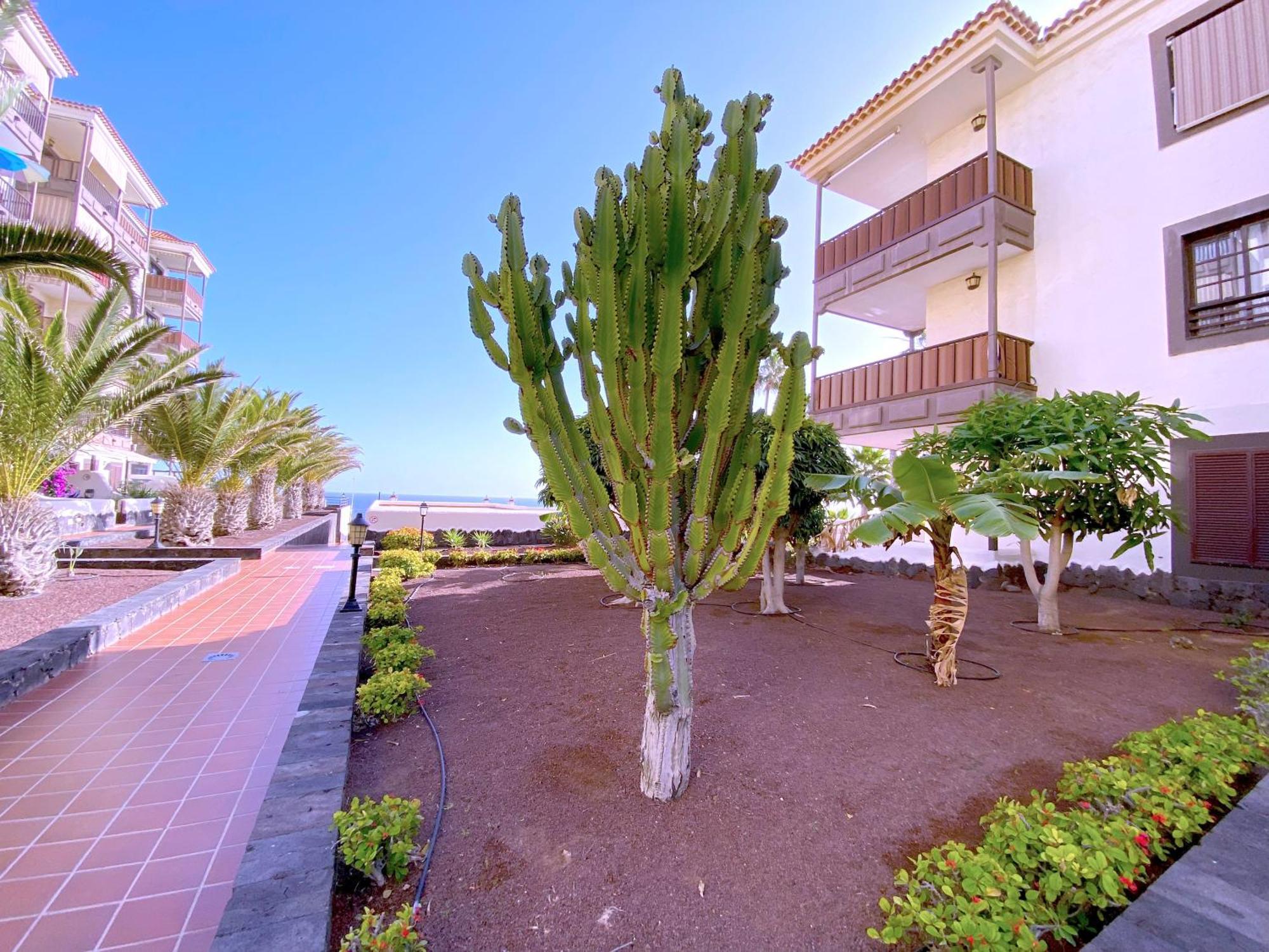 Tropicalidays Costa Mar Apartman Costa Del Silencio Kültér fotó